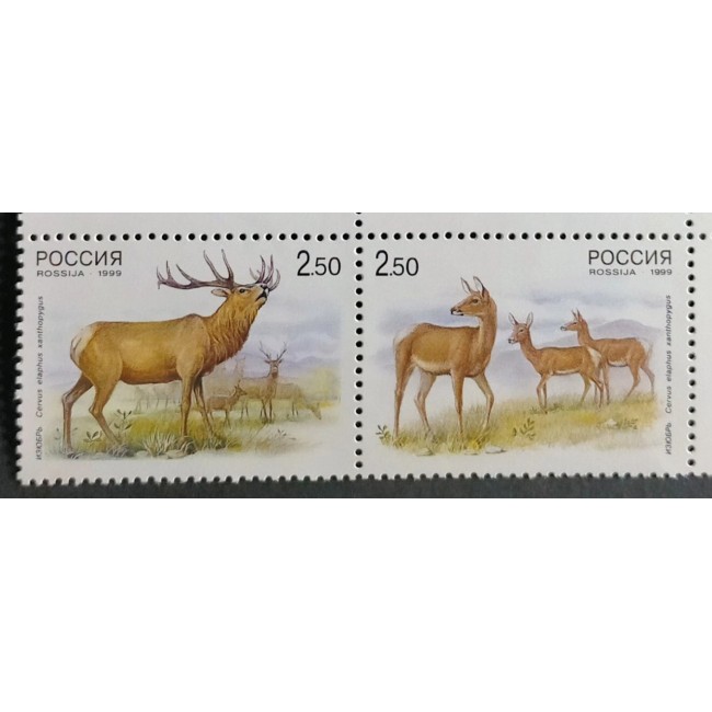 Rusia 1999 - Fauna, serie neuzata