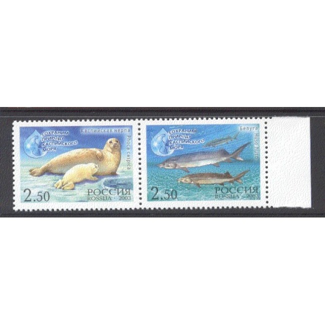 Rusia 2003 - Fauna marina, serie neuzata