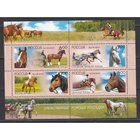 Rusia 2007 - Cai, calarie, minicoala neuza