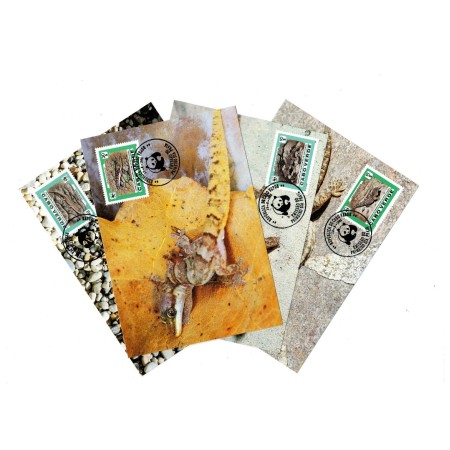 Cabo Verde 1985 - Fauna WWF, amfibieni, serie carti poștale maxime
