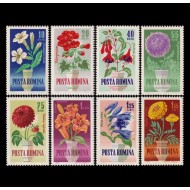 1964 - Flori de gradina, serie neuzata