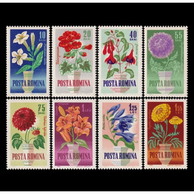 1964 - Flori de gradina, serie neuzata