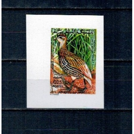 Maroc 1974 - Păsări, Mi.No.789U nedantelat, neuzat