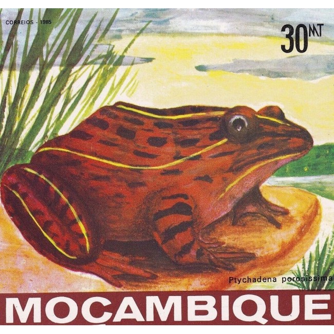 Mozambic 1985 - Broaște, fauna, colita neuzata