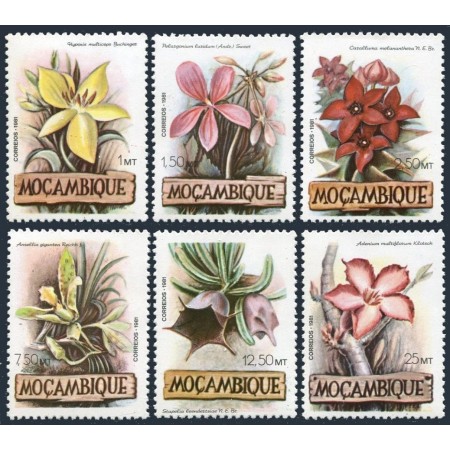 Mozambic 1981 - Flori, flora, serie neuzata