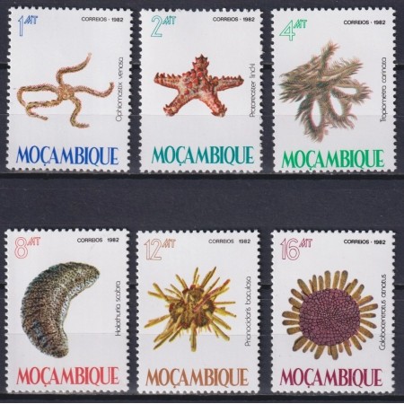 Mozambic 1982 - Fauna marina, serie neuzata