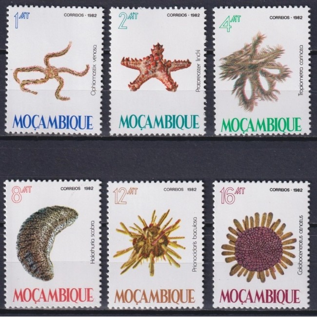Mozambic 1982 - Fauna marina, serie neuzata