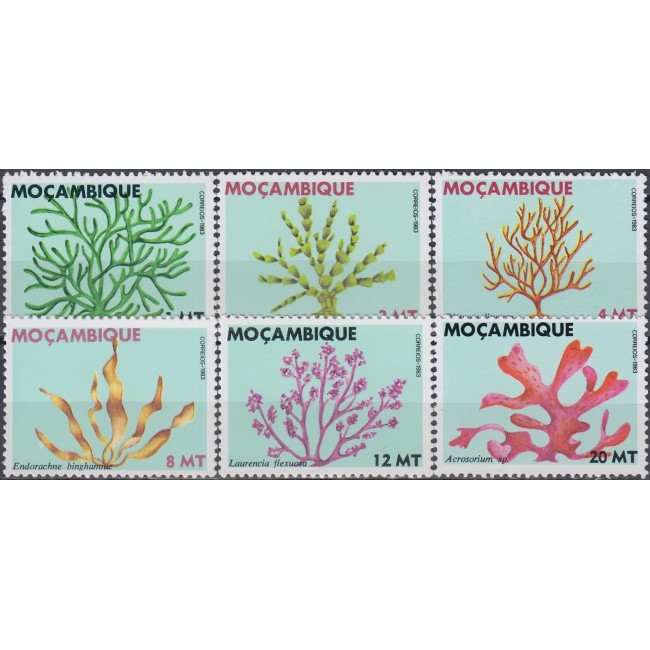 Mozambic 1983 - Flora marina, serie neuzata