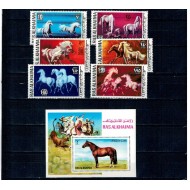 Ras al Khaima 1972 - Cai, serie si colita dantelata neuzata