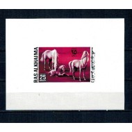 Ras al Khaima 1972 - Cai, colita nedantelata neuzata