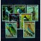 Guinea Ecuatoriala 1976 - Păsări din Asia, serie nedantelata neuzata