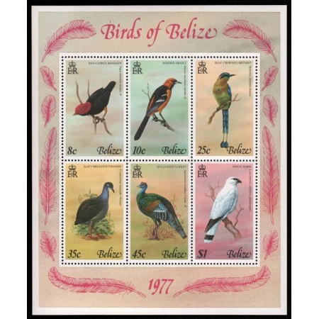 Belize 1977 - Păsări, bloc neuzat