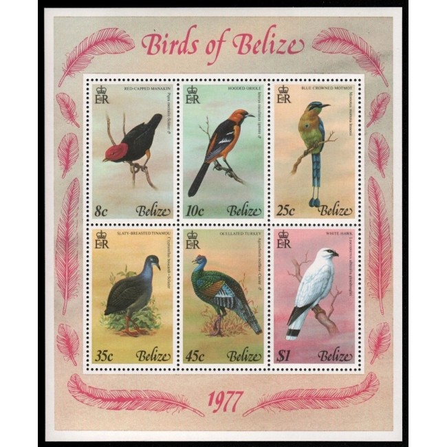 Belize 1977 - Păsări, bloc neuzat