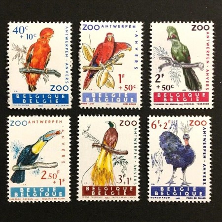 Belgia 1962 - Păsări, serie neuzata