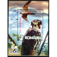 2007 - Păsări de prada, soim, colita neuzata