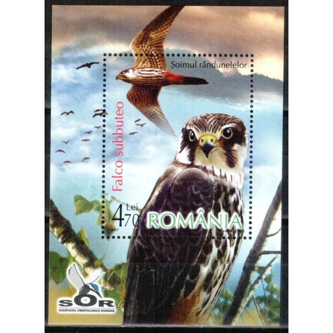 2007 - Păsări de prada, soim, colita neuzata