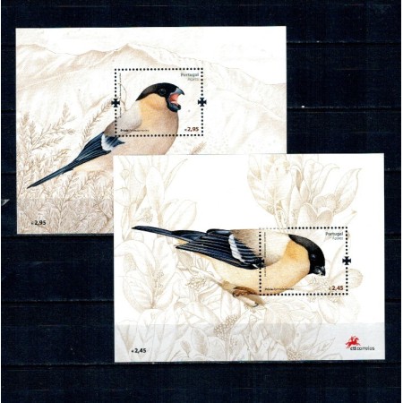 Portugal Azore 2008 - Păsări, colite neuzate