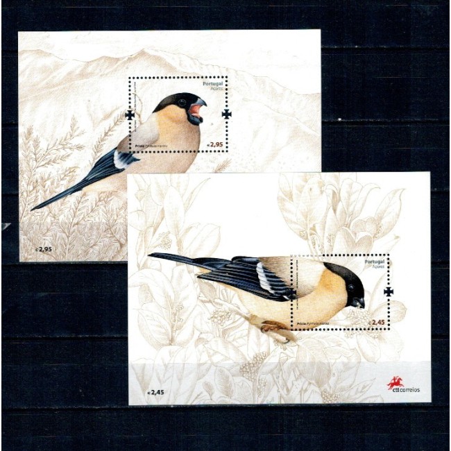 Portugal Azore 2008 - Păsări, colite neuzate