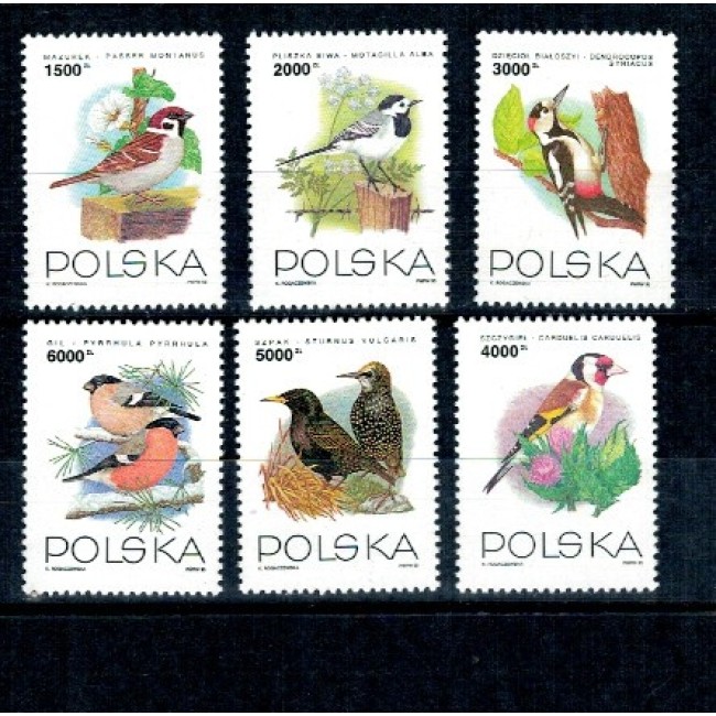 Polonia 1993 - Păsări, serie neuzata