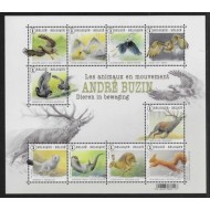 Belgia 2015 - Fauna, animale in mișcare, minicoala neuzata