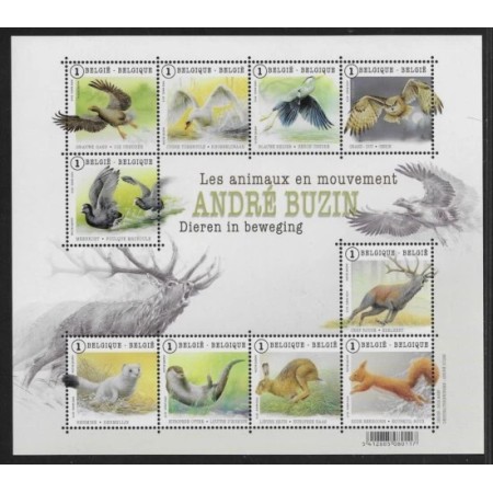 Belgia 2015 - Fauna, animale in mișcare, minicoala neuzata