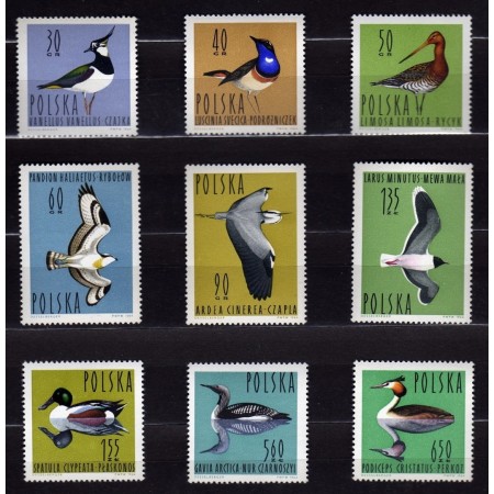 Polonia 1964 - Păsări, serie neuzata