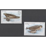 Islanda 2011 - Fauna, foci, serie neuzata