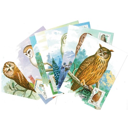 Ungaria 1984 - Bufnite, serie carti poștale maxime