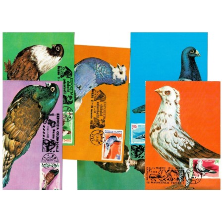 Romania 1983 - Columbofilie, porumbei, set 6 carti poștale maxime