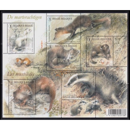 Belgia 2008 - Fauna, animale, minicoala neuzata