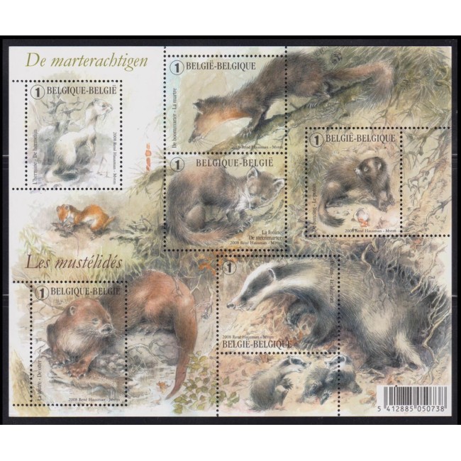 Belgia 2008 - Fauna, animale, minicoala neuzata