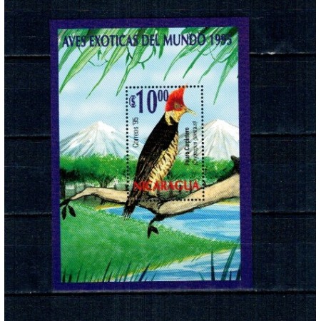 NIcaragua 1995 - Păsări, colita neuzata