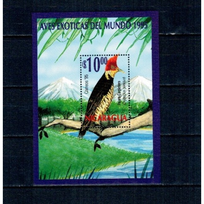 NIcaragua 1995 - Păsări, colita neuzata