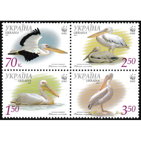 Ucraina 2007 - Fauna WWF, pelicani, serie neuzata