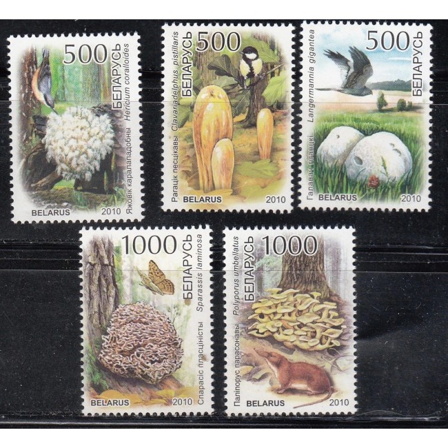 Belarus 2010 - Fauna, flora, animale, ciuperci, serie neuzata