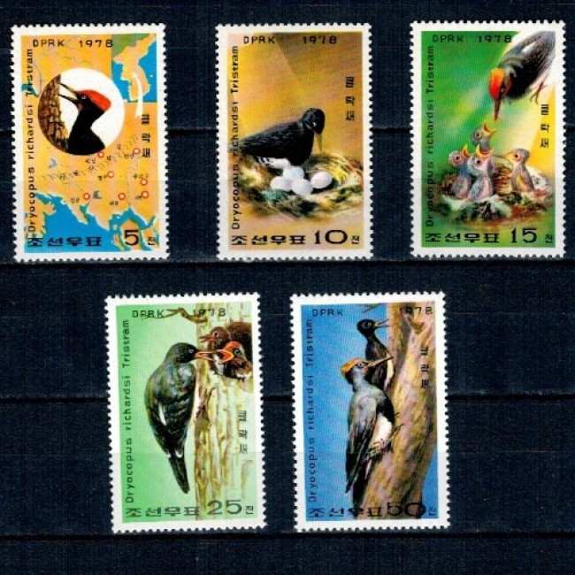 DPR Korea 1978 - Păsări, ciocănitoare, serie neuzata
