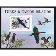 Turks&Caicos 1980 - Păsări, ibis, colita neuzata