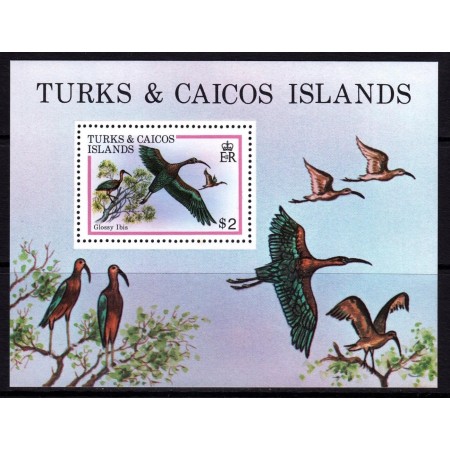 Turks&Caicos 1980 - Păsări, ibis, colita neuzata