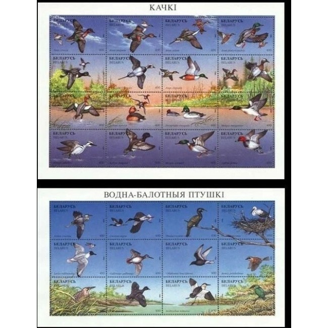 Belarus 1996 - Păsări, rate, serie minicoli neuzate
