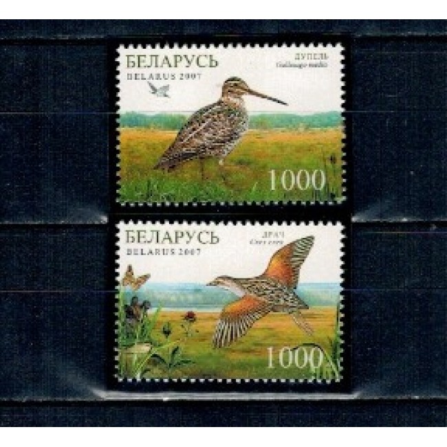 Belarus 2007 - Păsări, fauna, serie neuzata