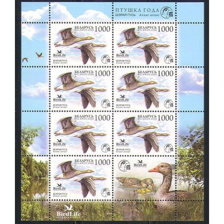 Belarus 2009 - Păsări, minicoala neuzata