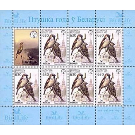Belarus 2003 - Păsări, minicoala neuzata