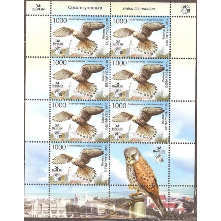 Belarus 2010 - Păsări, soim, minicoala neuzata