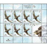 Belarus 2012 - Păsări, minicoala neuzata
