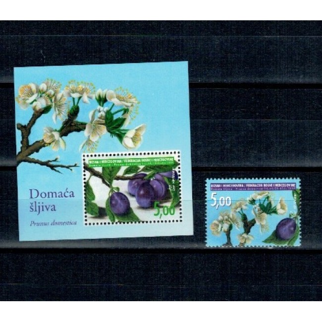 Mostar(Bosnia) 2009 - Flora locala, serie si colita neuzata