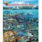 ONU Wien 1998 - Anul international al oceanelor, fauna, bloc neuzat