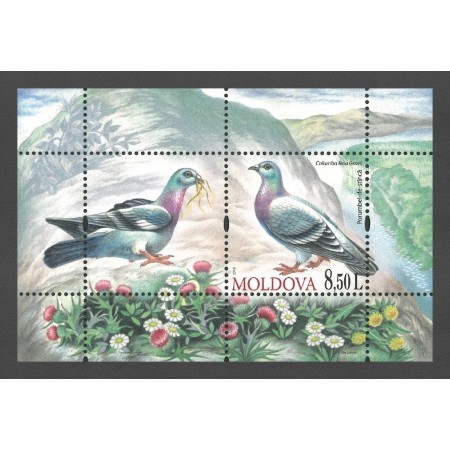 Moldova 2010 - Păsări, porumbei, colita neuzata