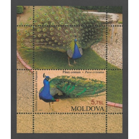 Moldova 2013 - Păsări, păun, colita neuzata