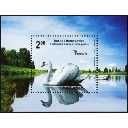 Bosnia 2010 - Lebede, păsări, colita neuzata