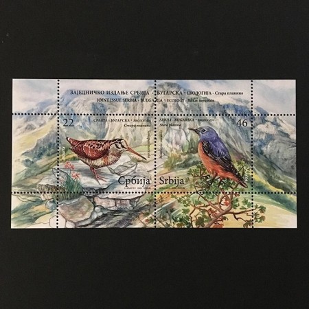 Serbia 2009 - Păsări, colita neuzata